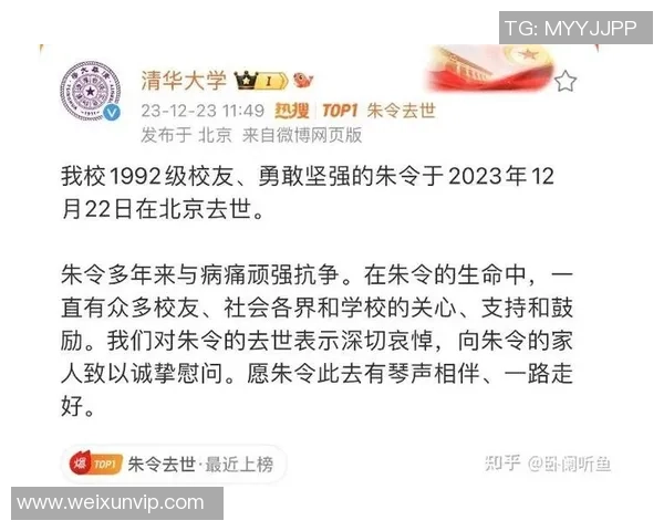 足球明星脑瘤困境揭秘：从竞技场到病床的艰难转折与勇敢抗争