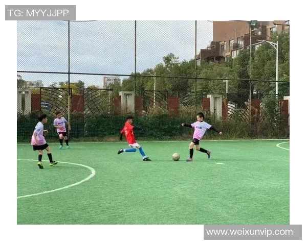 足球巨星的儿子与普通女孩的青涩爱情故事在绿茵场上绽放光彩